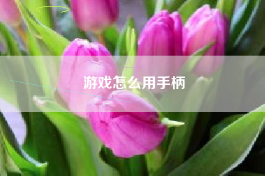 游戏怎么用手柄