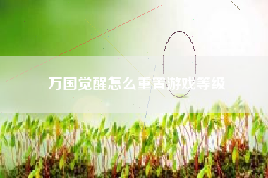 万国觉醒怎么重置游戏等级