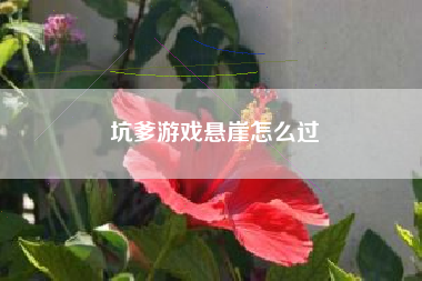 坑爹游戏悬崖怎么过