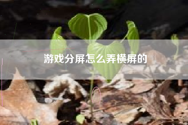 游戏分屏怎么弄横屏的