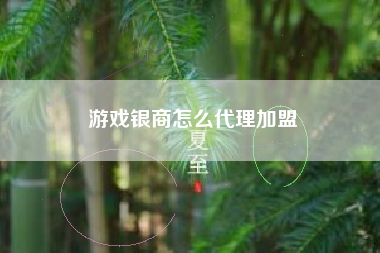 游戏银商怎么代理加盟