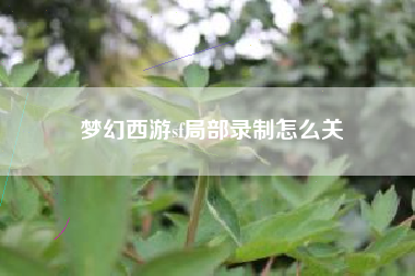 梦幻西游sf局部录制怎么关