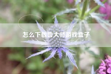 怎么下载鲁大师游戏盒子
