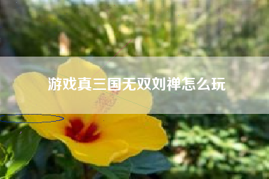 游戏真三国无双刘禅怎么玩