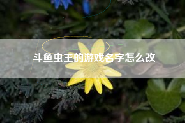 斗鱼虫王的游戏名字怎么改