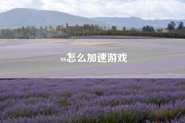 ss怎么加速游戏