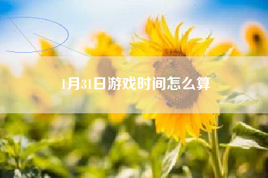 1月31日游戏时间怎么算