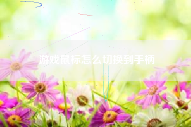 游戏鼠标怎么切换到手柄