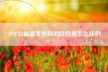 DNF公益服发布网的娃娃是怎么坏的