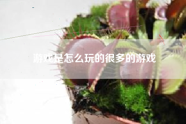游戏是怎么玩的很多的游戏