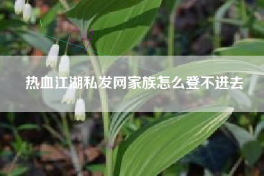 热血江湖私发网家族怎么登不进去