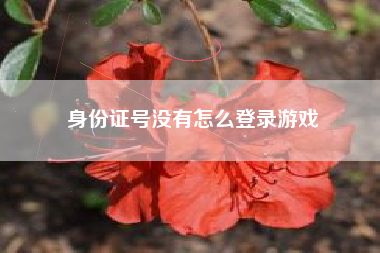 身份证号没有怎么登录游戏