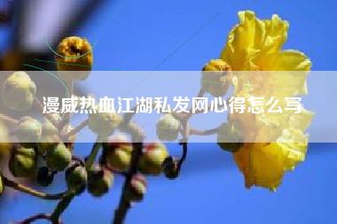 漫威热血江湖私发网心得怎么写