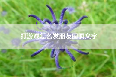 打游戏怎么发朋友圈啊文字