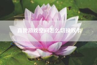 真我游戏空间怎么切换双卡