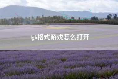 lgb格式游戏怎么打开