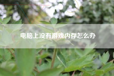 电脑上没有游戏内存怎么办