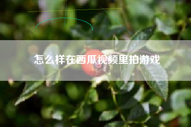 怎么样在西瓜视频里拍游戏