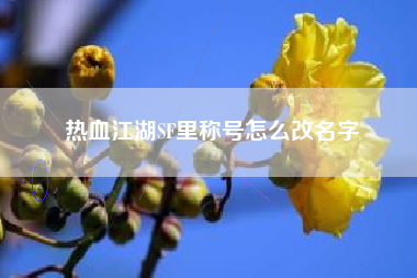 热血江湖SF里称号怎么改名字