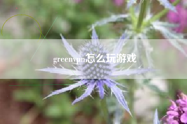 greenvpn怎么玩游戏