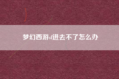 梦幻西游sf进去不了怎么办