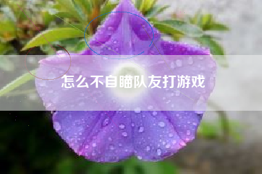 怎么不自瞄队友打游戏