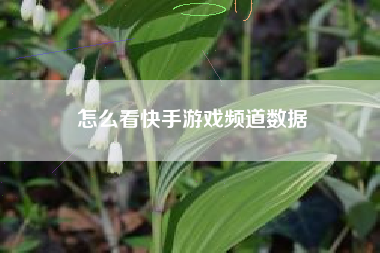 怎么看快手游戏频道数据