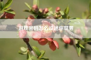 游戏密码怎么设迷你世界