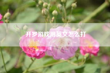 开罗游戏用英文怎么打