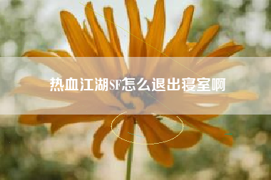 热血江湖SF怎么退出寝室啊