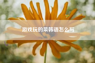 游戏玩的菜韩语怎么写