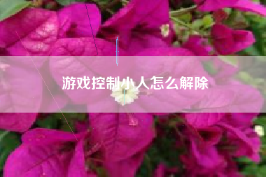 游戏控制小人怎么解除