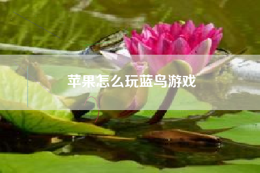 苹果怎么玩蓝鸟游戏