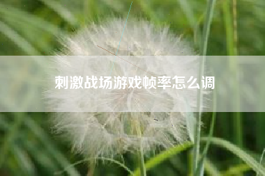刺激战场游戏帧率怎么调