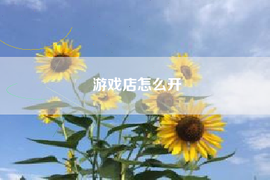 游戏店怎么开