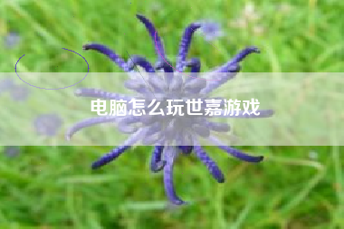 电脑怎么玩世嘉游戏