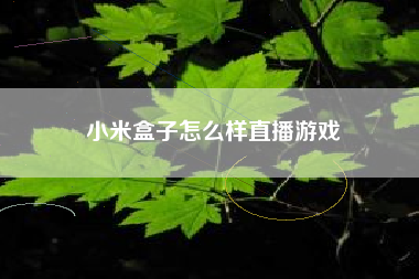 小米盒子怎么样直播游戏