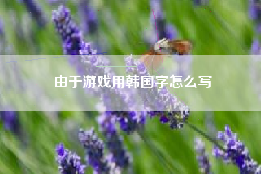 由于游戏用韩国字怎么写
