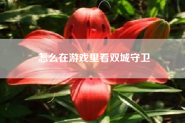 怎么在游戏里看双城守卫