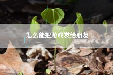 怎么能把游戏发给朋友