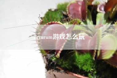 erzurum游戏怎么玩