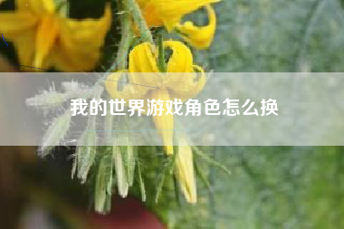 我的世界游戏角色怎么换