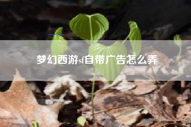 梦幻西游sf自带广告怎么弄