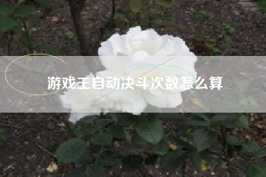 游戏王自动决斗次数怎么算