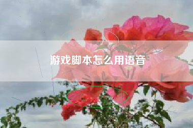 游戏脚本怎么用语音