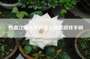 热血江湖私发网怎么链接游戏手柄