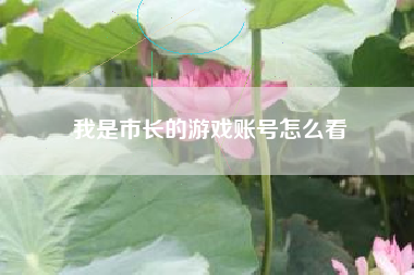 我是市长的游戏账号怎么看