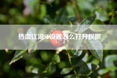 热血江湖SF设置怎么打开权限