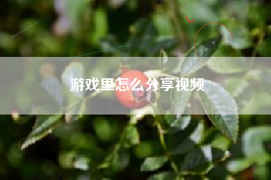 游戏里怎么分享视频
