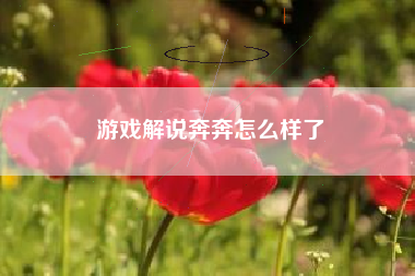 游戏解说奔奔怎么样了